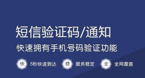 短信霸屏代理 引爆商機(jī)，搶占營銷新藍(lán)海